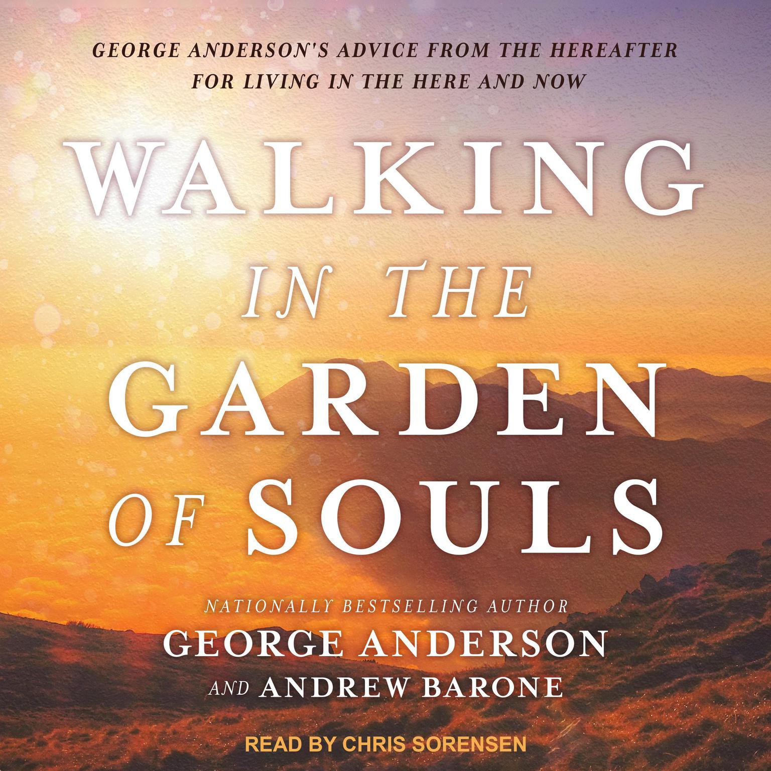 Walking in the Garden of Souls: George Andersons Advice from the Hereafter for Living in the Here and Now Audiobook, by George Anderson