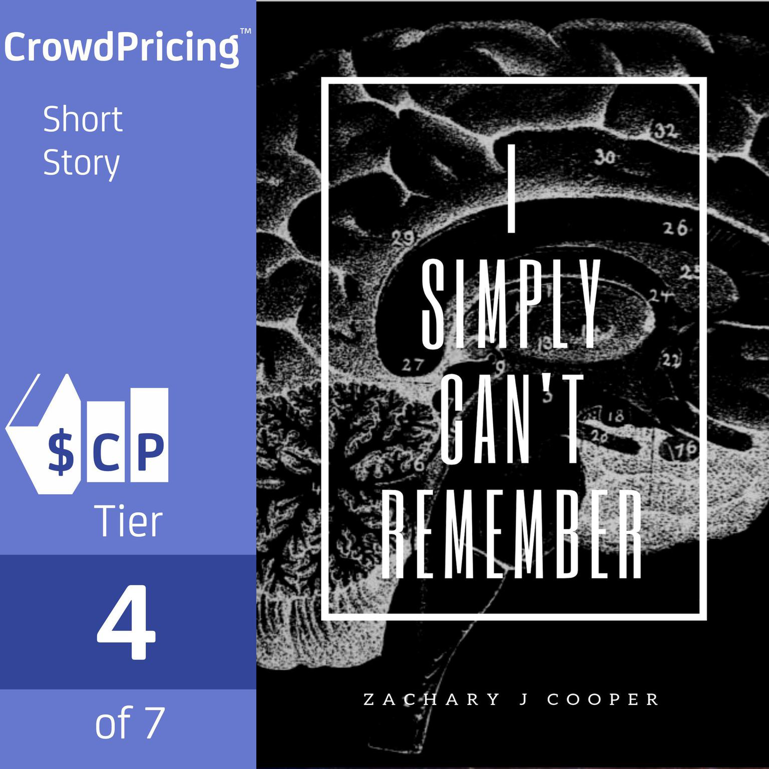I Simply Cant Remember Audiobook, by Zachary J Cooper