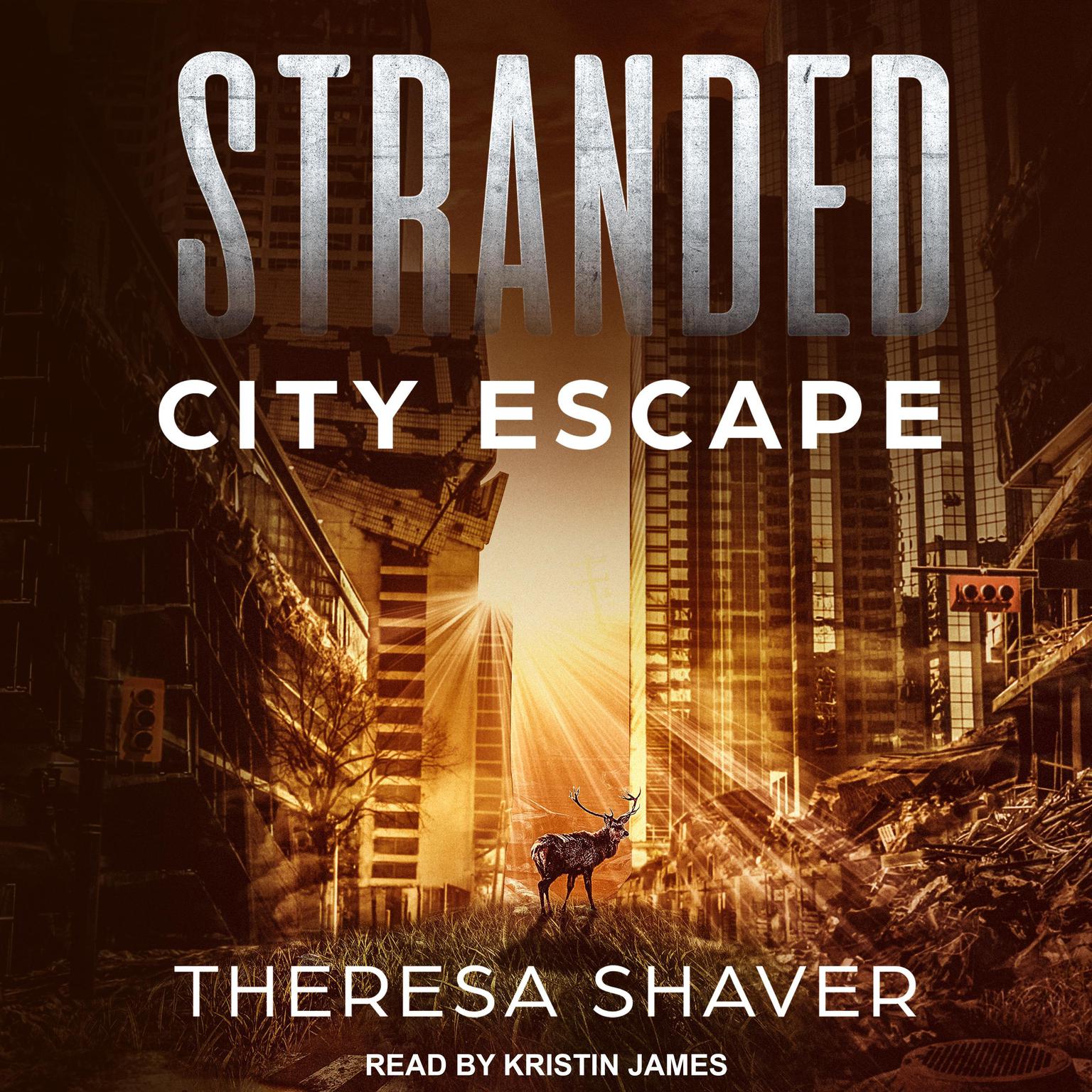 Stranded: City Escape Audiobook, by Theresa Shaver