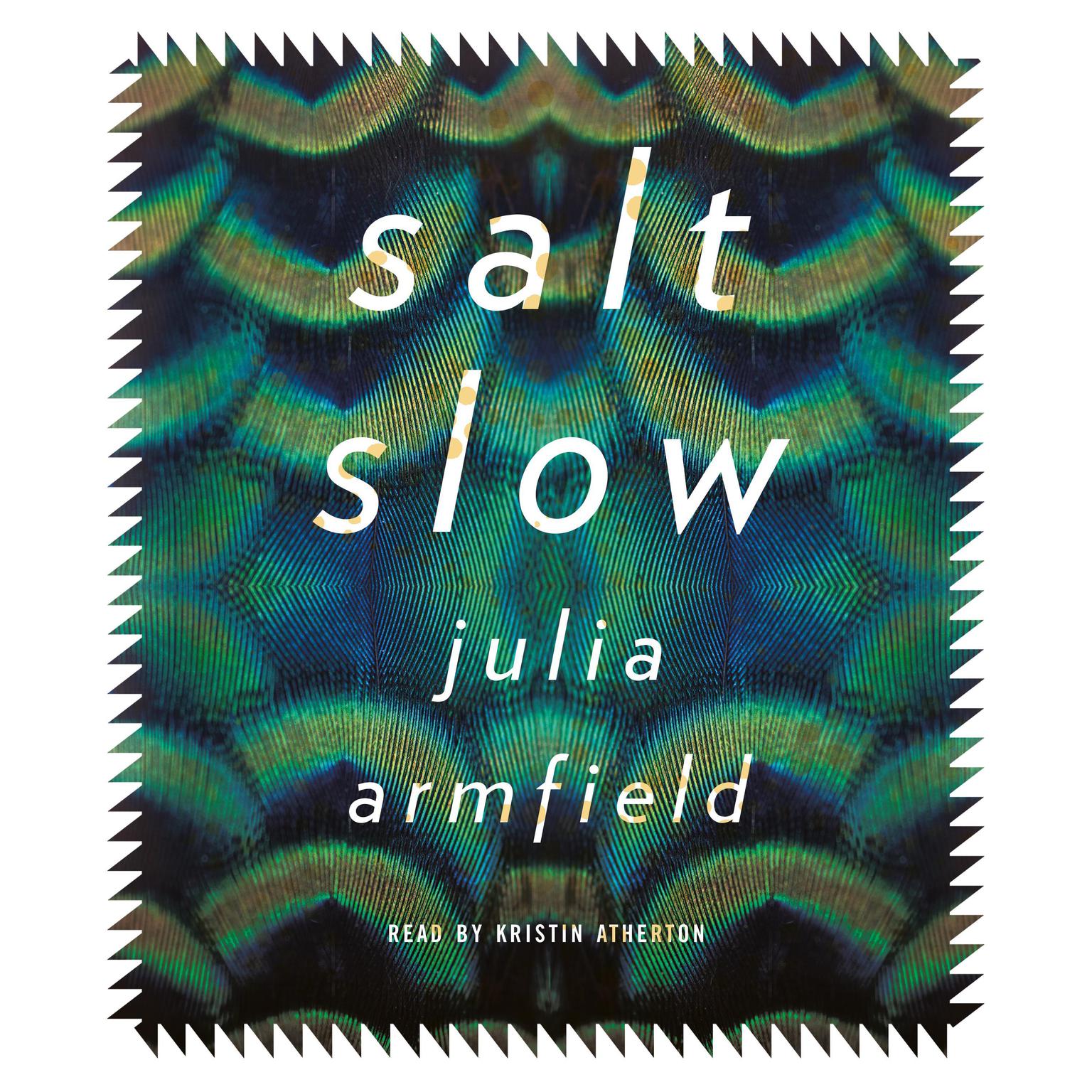 salt slow Audiobook, by Julia Armfield