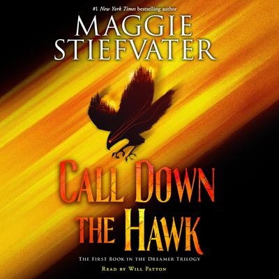 Call Down the Hawk Audiobook, by Maggie Stiefvater