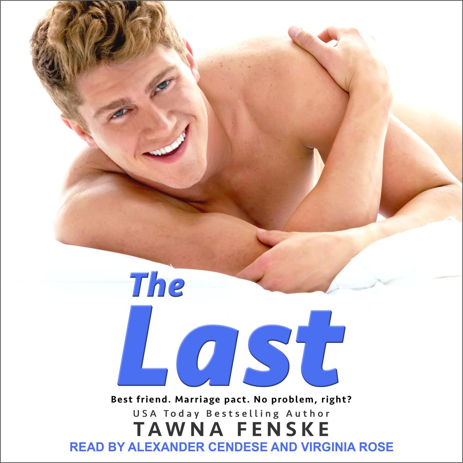 The Last Audiobook, by Tawna Fenske