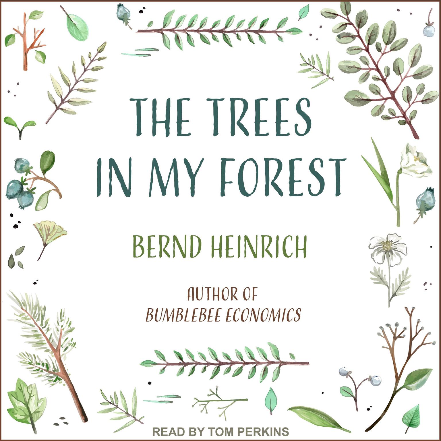 The Trees in My Forest Audiobook, by Bernd Heinrich