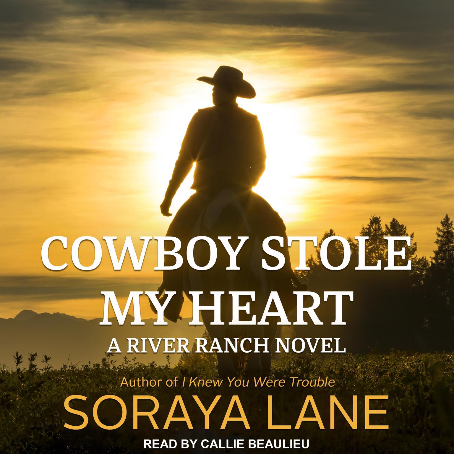 Cowboy Stole My Heart Audiobook, by Soraya Lane