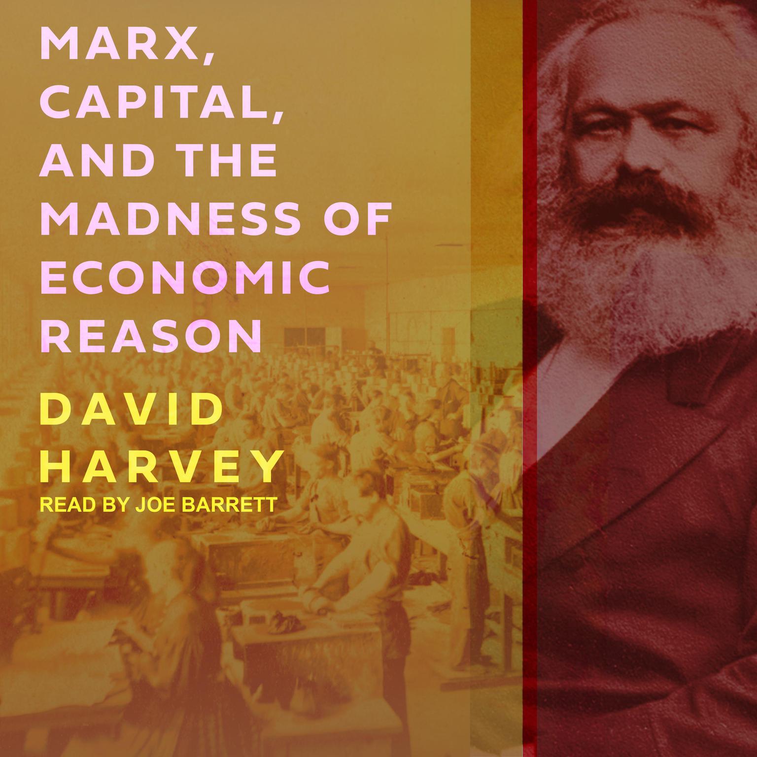 Marx, Capital, and the Madness of Economic Reason Audiobook, by David Harvey