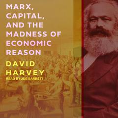 Marx, Capital, and the Madness of Economic Reason Audiobook, by David Harvey