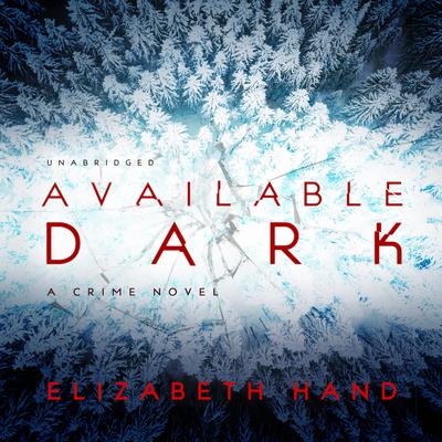 Available Dark Audiobook, by Elizabeth Hand