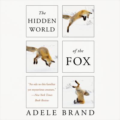 The Hidden World of the Fox Audiobook, by Adele Brand
