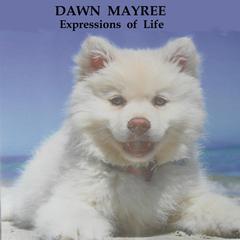 Expressions of Life Audiobook, by Dawn Mayree