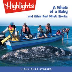 A Whale of a Baby and Other Real Whale Stories Audiobook, by Highlights for Children