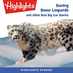 Saving Snow Leopards and Other Real Big Cat  Stories Audiobook, by Highlights for Children
