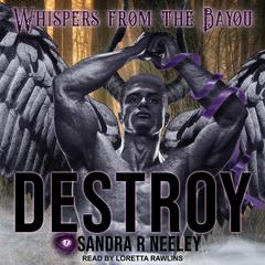 Destroy Audiobook, by Sandra R. Neeley