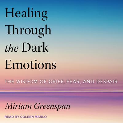 Healing Through the Dark Emotions: The Wisdom of Grief, Fear, and Despair Audiobook, by 