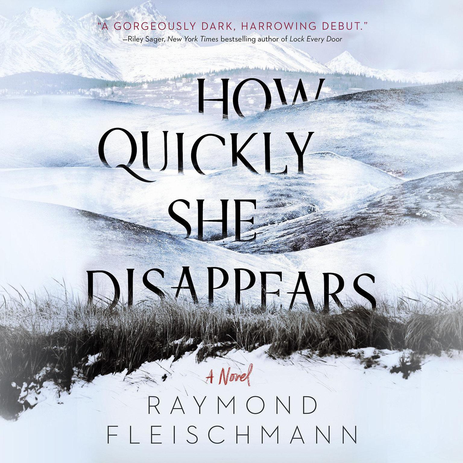 How Quickly She Disappears Audiobook, by Raymond Fleischmann