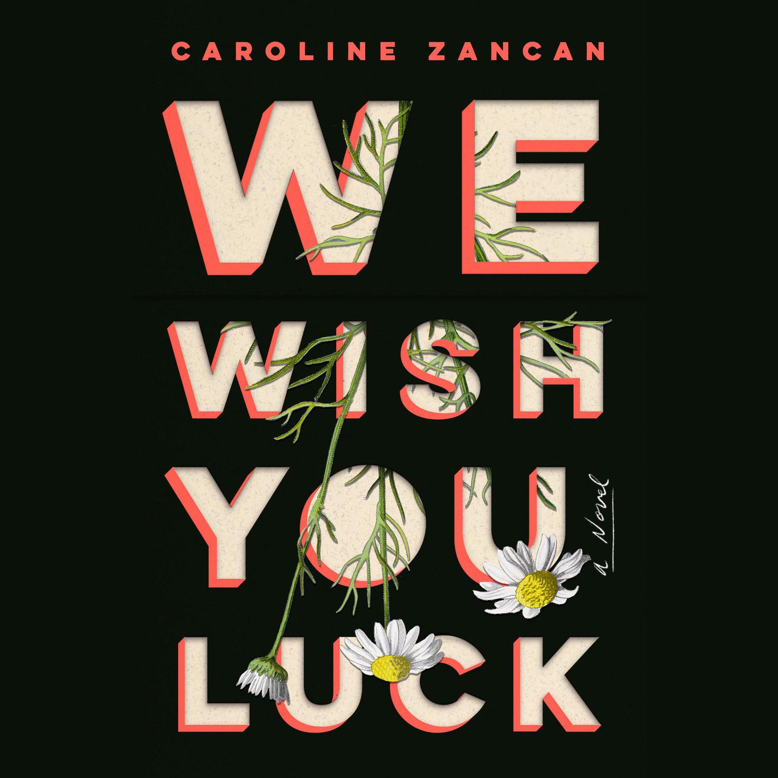 We Wish You Luck: A Novel Audiobook, by Caroline Zancan