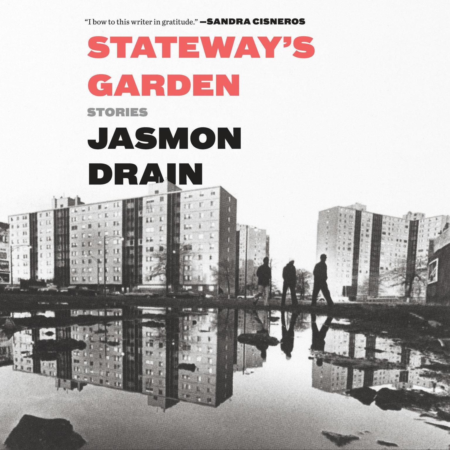 Stateways Garden: Stories Audiobook, by Jasmon Drain
