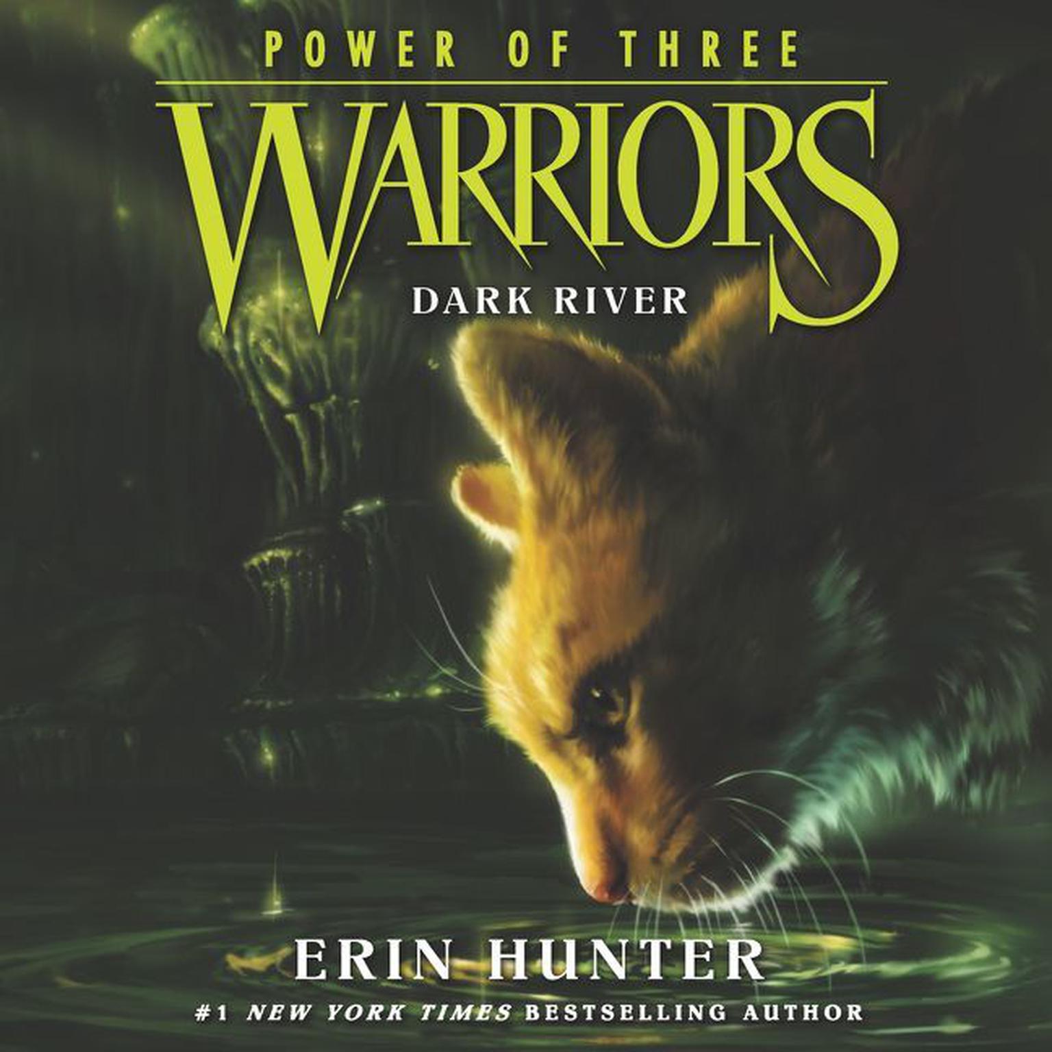 Warriors: Power of Three #2: Dark River Audiobook, by Erin Hunter