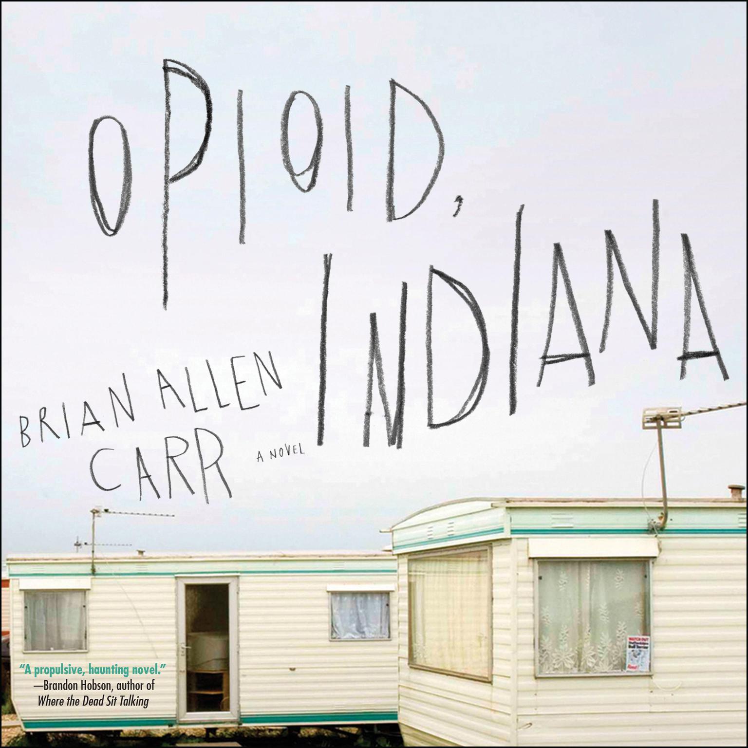 Opioid, Indiana Audiobook, by Brian Allen Carr