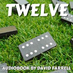 Twelve Audiobook, by David Farrell