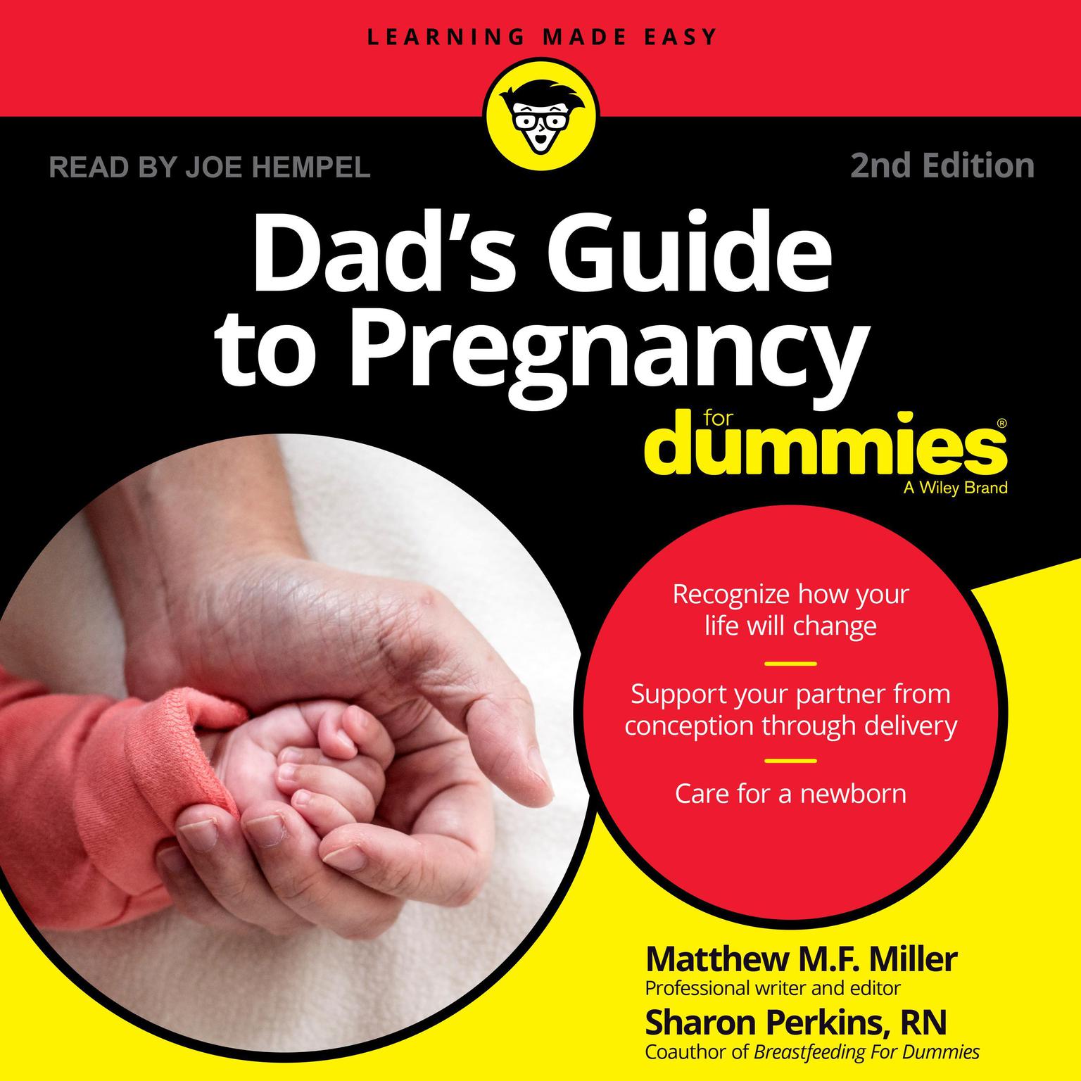 Dads Guide To Pregnancy For Dummies Audiobook, by Mathew Miller