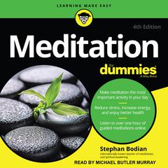 Meditation For Dummies Audiobook, by 