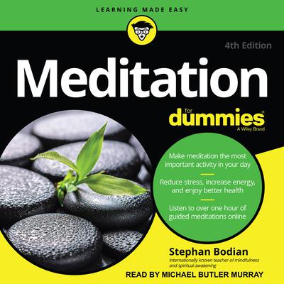 Meditation For Dummies Audiobook, by Stephan Bodian