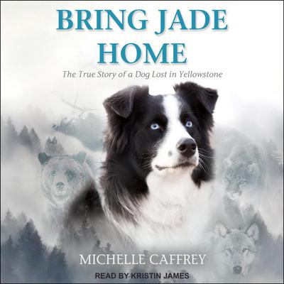 Bring Jade Home: The True Story of a Dog Lost in Yellowstone and the People Who Searched for Her Audiobook, by Michelle Caffrey