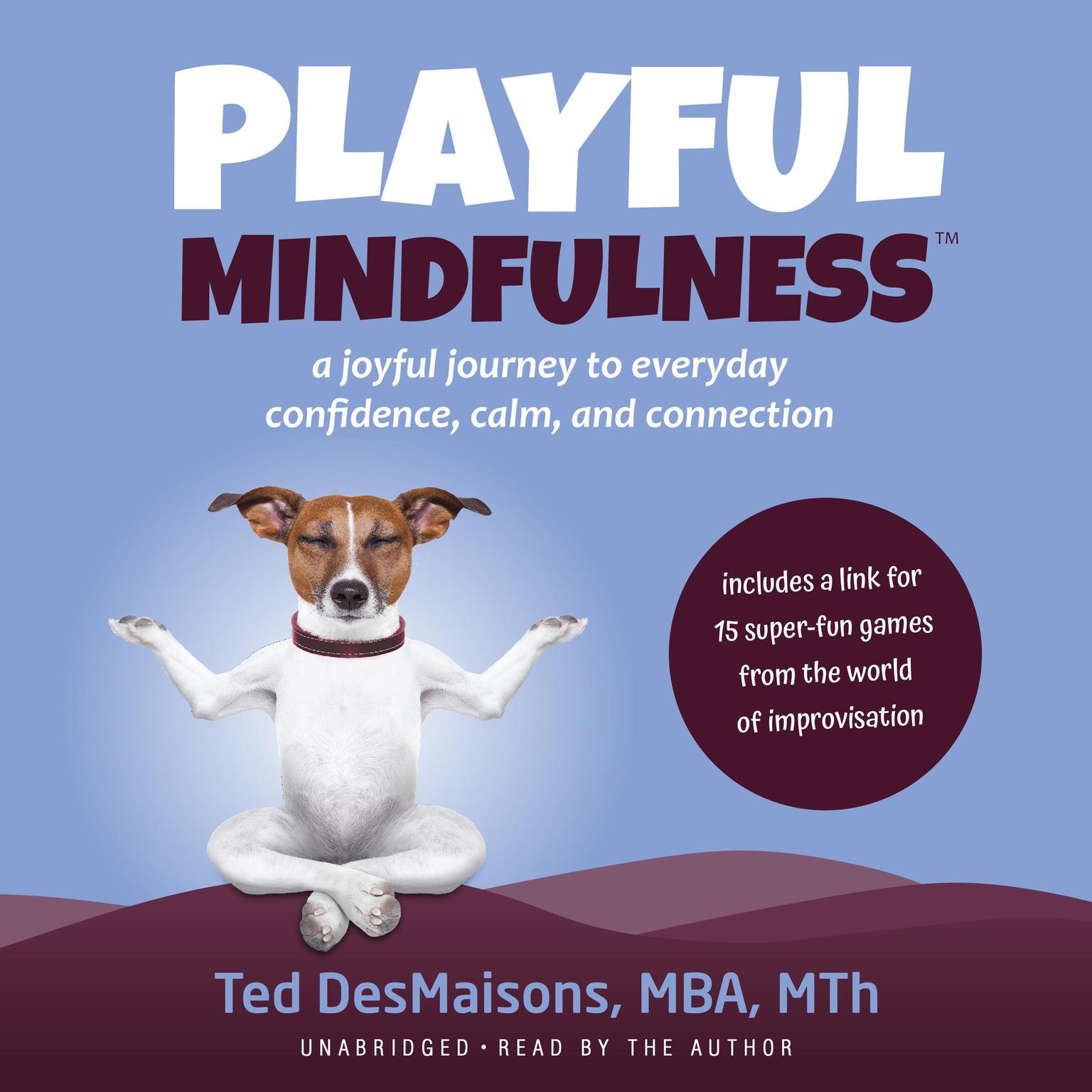 Playful Mindfulness:  a joyful journey to everyday confidence, calm, and connection Audiobook, by Ted DesMaisons