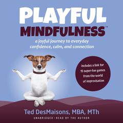 Playful Mindfulness:  a joyful journey to everyday confidence, calm, and connection Audiobook, by Ted DesMaisons