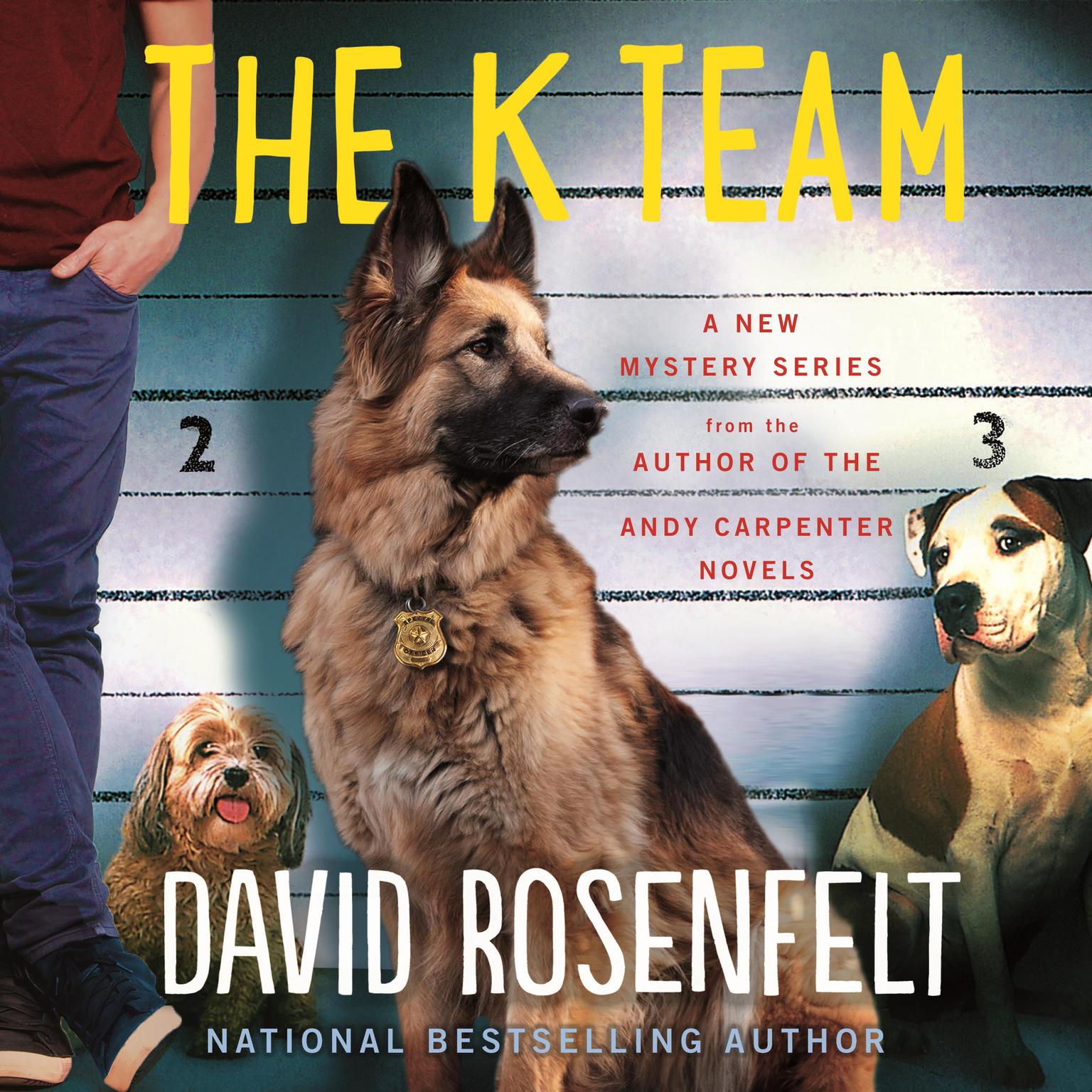 The K Team Audiobook, by David Rosenfelt