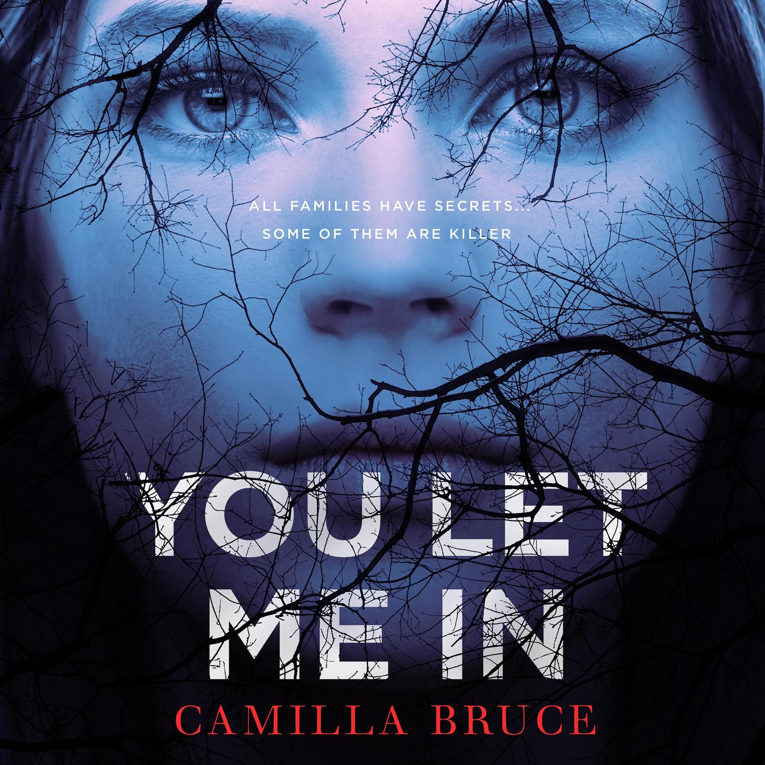 You Let Me In Audiobook, by Camilla Bruce