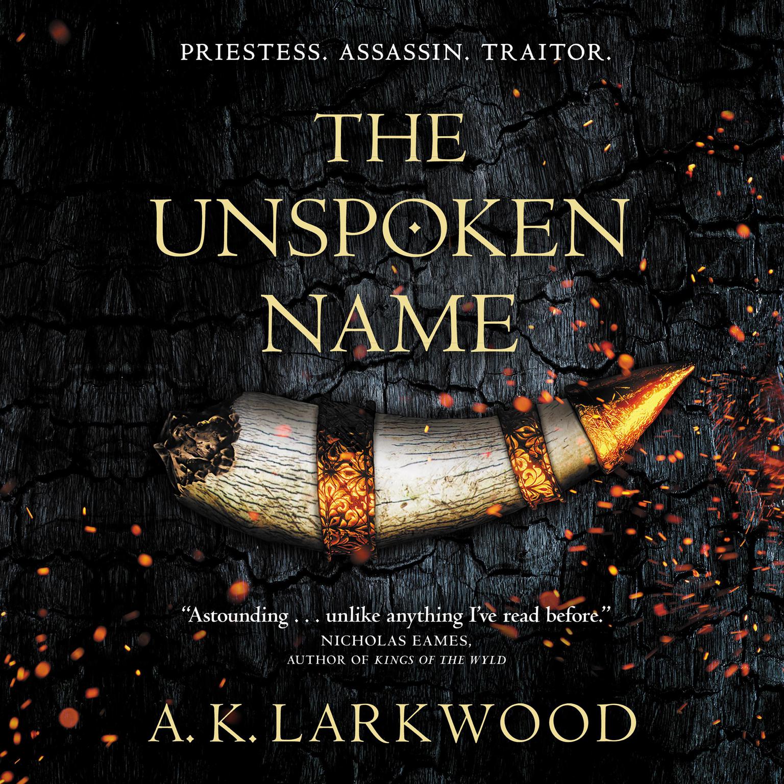 The Unspoken Name Audiobook, by A. K. Larkwood