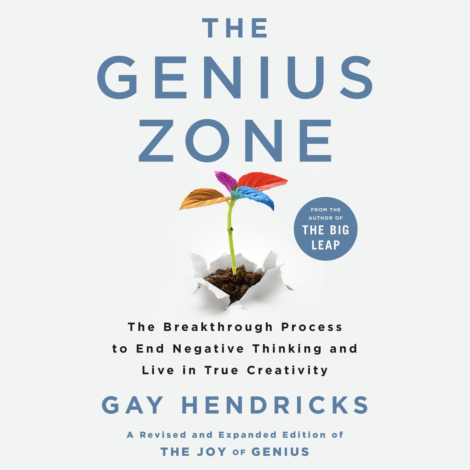 The Genius Zone: The Breakthrough Process to End Negative Thinking and Live in True Creativity Audiobook, by Gay Hendricks