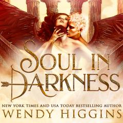 Soul In Darkness Audiobook, by Wendy Higgins