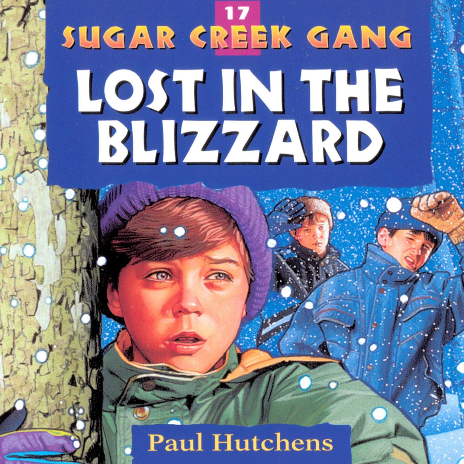 Lost in the Blizzard Audiobook, by Paul Hutchens