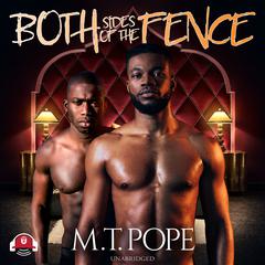 Both Sides of the Fence Audiobook, by 