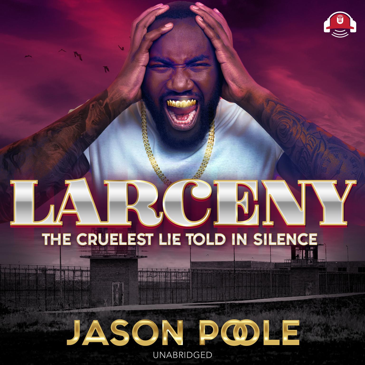 Larceny: The Cruelest Lie Told in Silence Audiobook, by Jason Poole