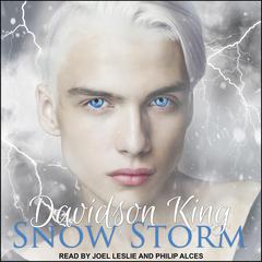 Snow Storm Audiobook, by Davidson King