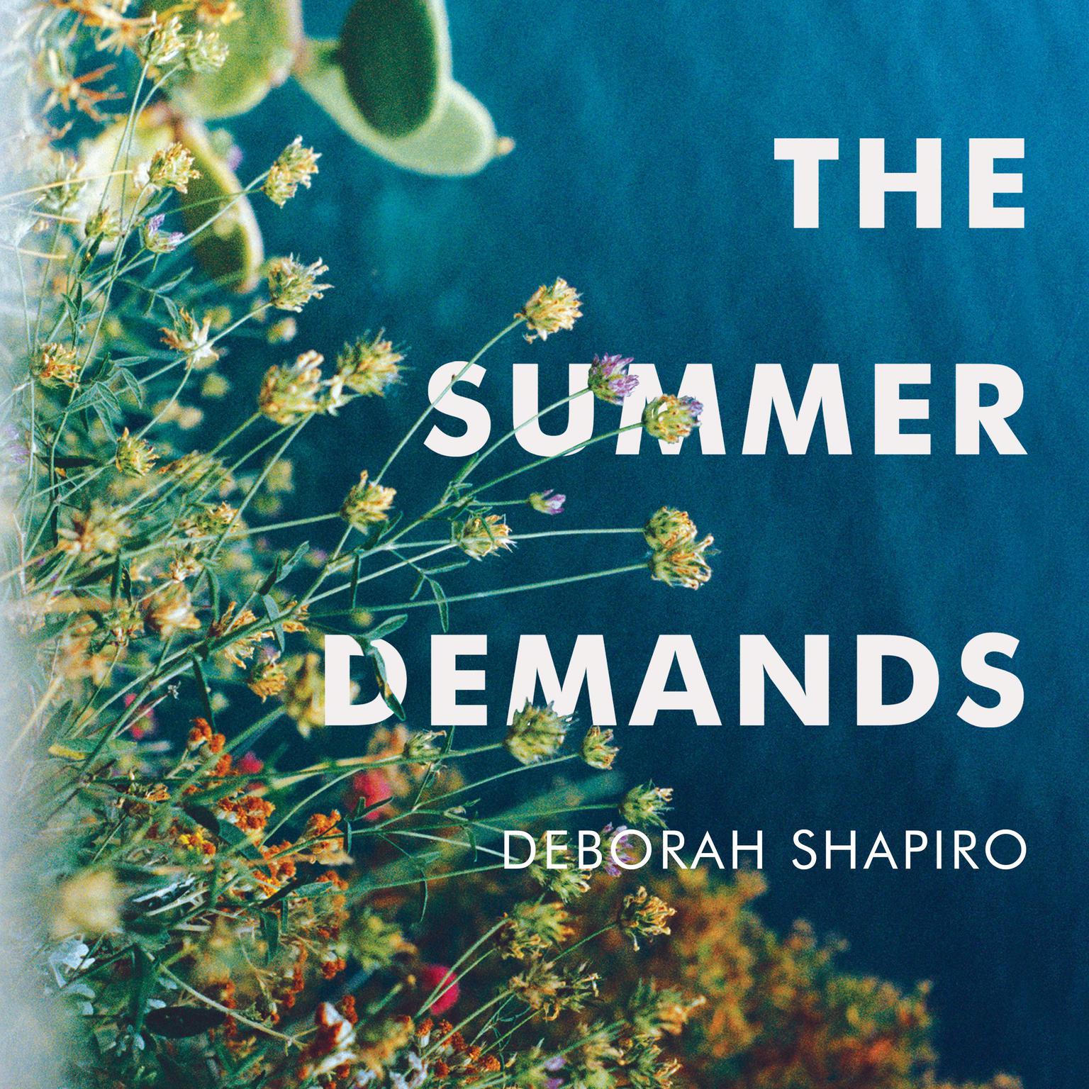 The Summer Demands Audiobook, by Deborah Shapiro