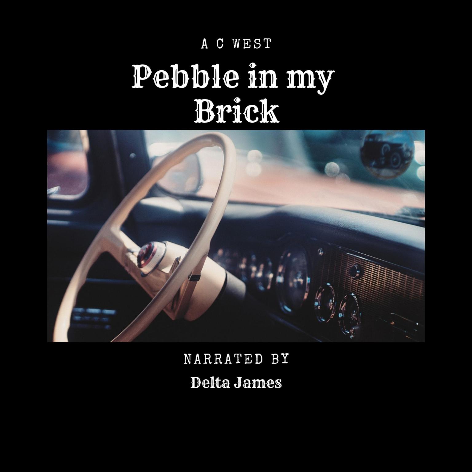 Pebble in my Brick Audiobook, by Anne C West