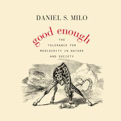 Good Enough Audiobook, by Daniel S. Milo