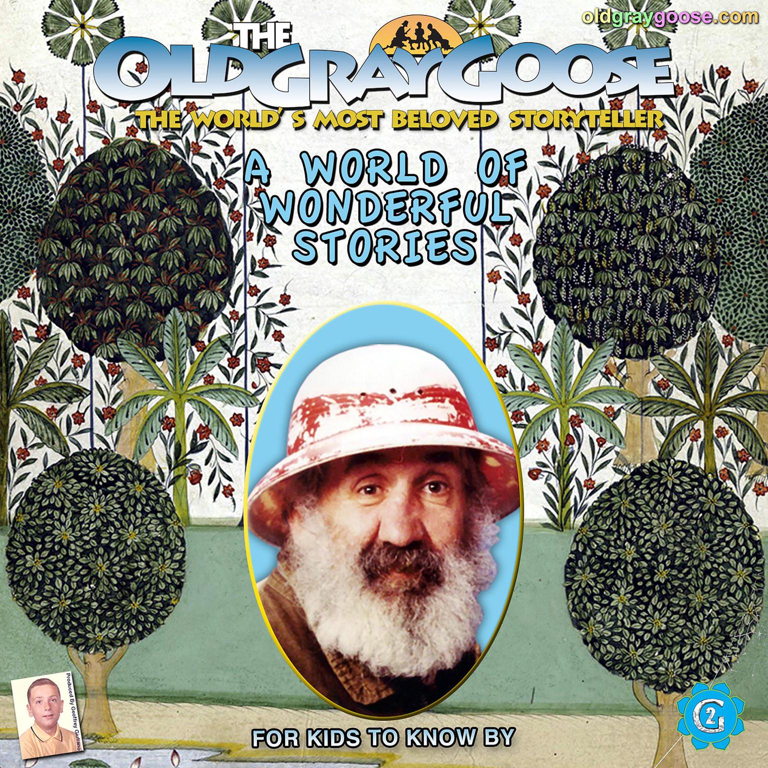 A World of Wonderful Stories Audiobook, by Geoffrey Giuliano