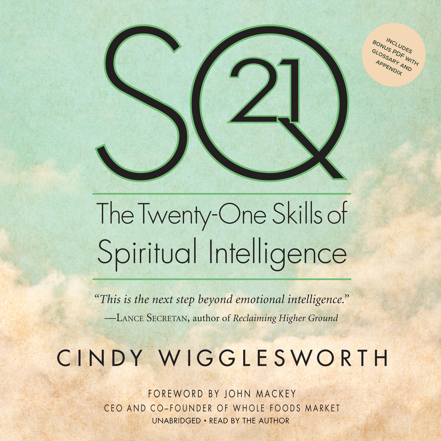 SQ21: The Twenty-One Skills of Spiritual Intelligence Audiobook, by Cindy Wigglesworth