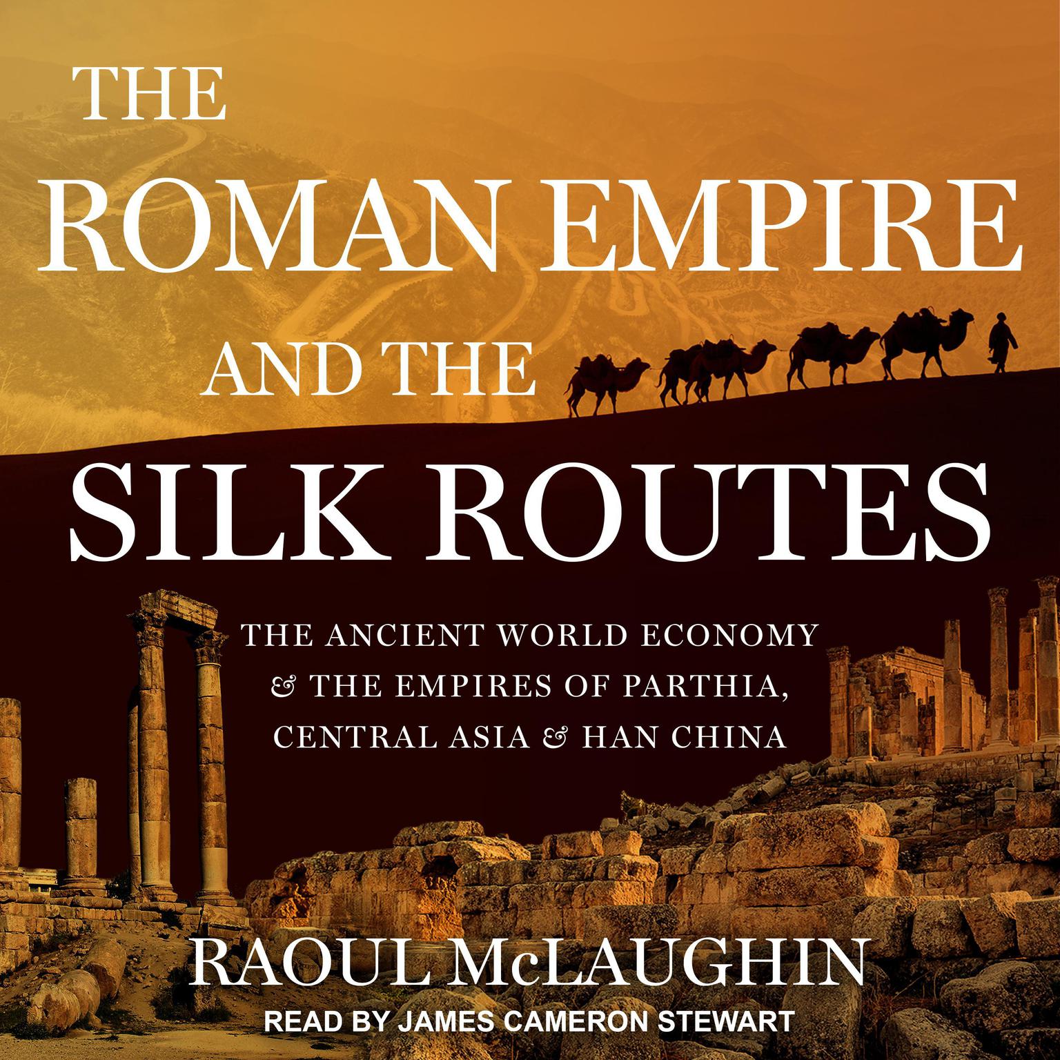 The Roman Empire and the Silk Routes: The Ancient World Economy and the Empires of Parthia, Central Asia and Han China Audiobook, by Raoul McLaughlin