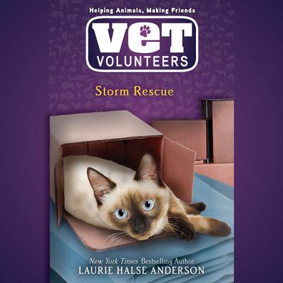 Storm Rescue Audiobook, by Laurie Halse Anderson