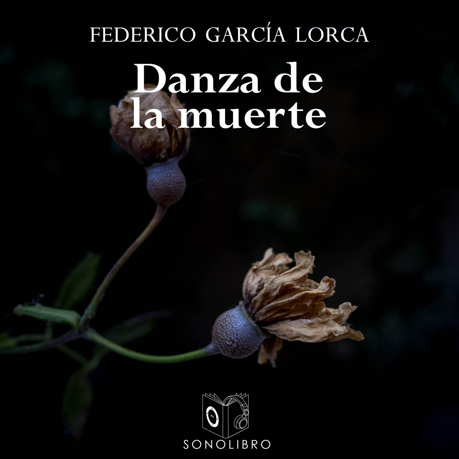 Danza de la muerte y otros Audiobook, by Federico García Lorca