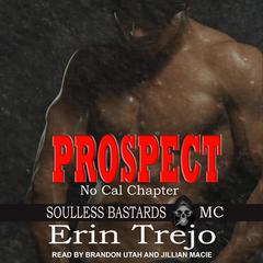 Prospect Audiobook, by Erin Trejo