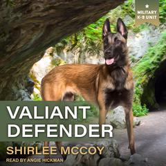 Valiant Defender Audiobook, by 