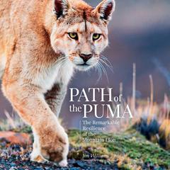 Path of the Puma: The Remarkable Resilience of the Mountain Lion Audiobook, by Jim Williams