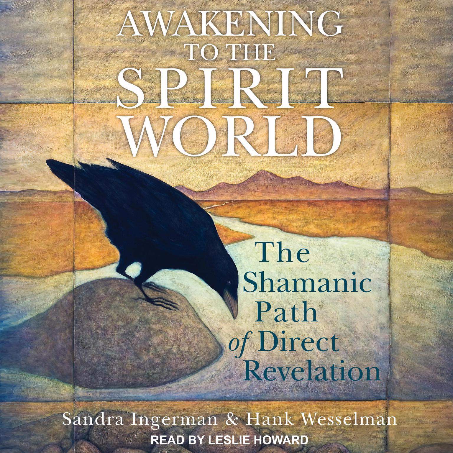Awakening to the Spirit World: The Shamanic Path of Direct Revelation Audiobook, by Sandra Ingerman